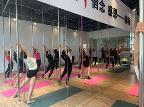 勁爆好消息！胡楊舞蹈周年特惠，僅198元體驗(yàn)舞蹈魅力！